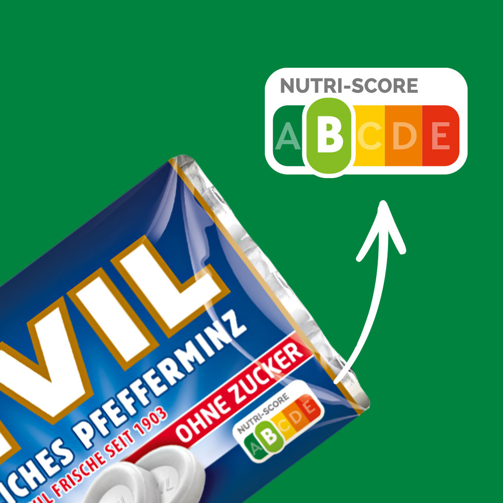 VIVIL Natürliches Pfefferminz Pastillen ohne Zucker | 20 x 3er Pack