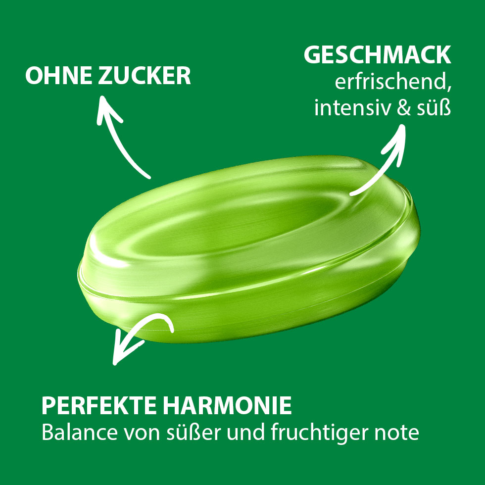 VIVIL Limette-Minze Erfrischungsbonbons ohne Zucker | 15 Beutel VIVIL Limette-Minze Erfrischungsbonbons ohne Zucker | 15 Beutel