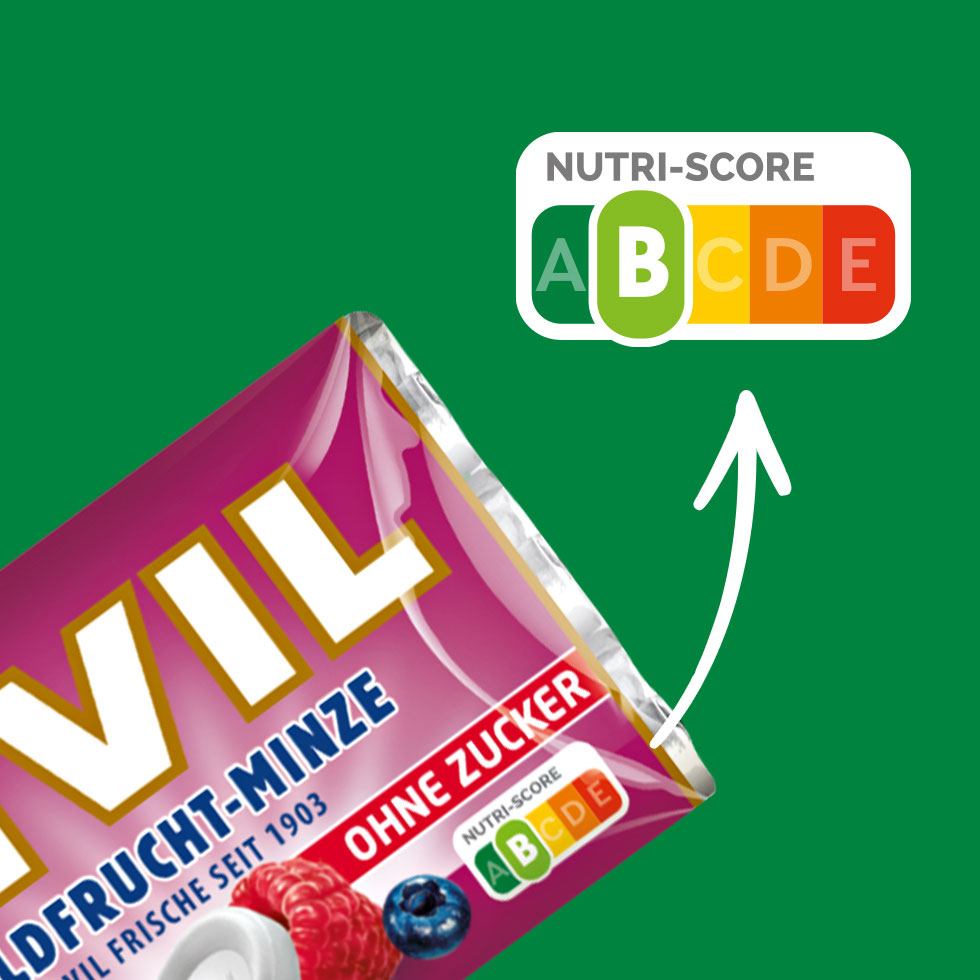 VIVIL Waldfrucht-Minze Pastille ohne Zucker | 20 x 3er Pack VIVIL Waldfrucht-Minze Pastille ohne Zucker | 20 x 3er Pack