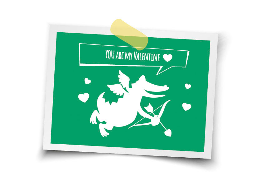 VIVIL-Kroko_Postkarte_03 VIVIL-Kroko_Postkarte_03