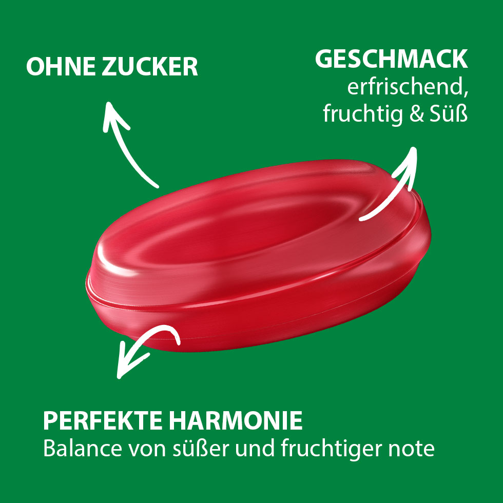 VIVIL Waldfrucht Multivitaminbonbons ohne Zucker | 15 Beutel VIVIL Waldfrucht Multivitaminbonbons ohne Zucker | 15 Beutel