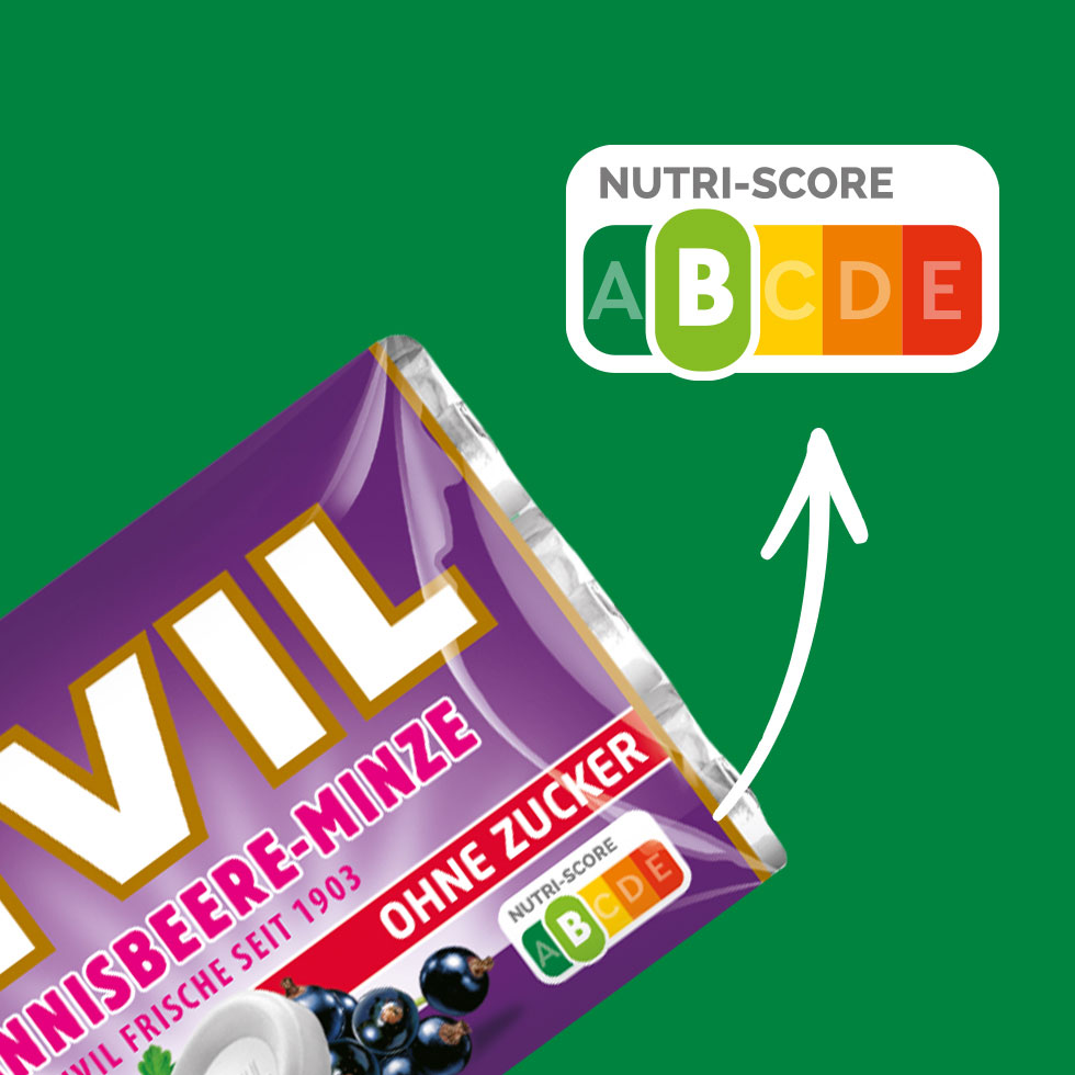 VIVIL Johannisbeere-Minze Pastillen ohne Zucker | 20 x 3er Pack VIVIL Johannisbeere-Minze Pastillen ohne Zucker | 20 x 3er Pack