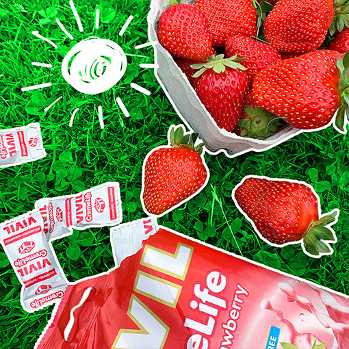 VIVIL Creme Life Erdbeere Sahnebonbons ohne Zucker | 110g